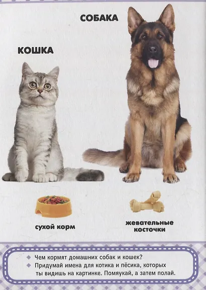 Домашние любимцы - фото 2