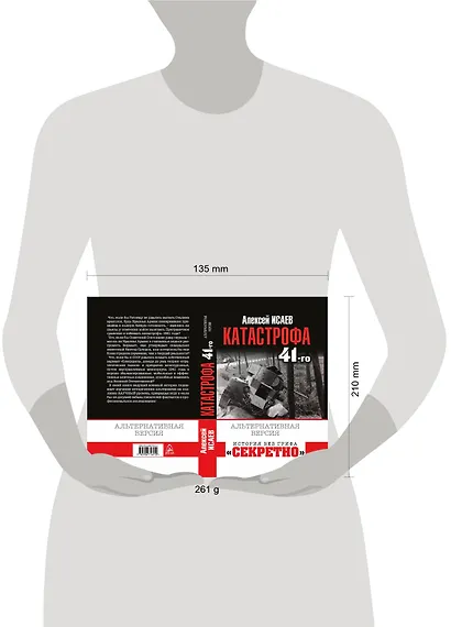 Катастрофа 41-го года. Альтернативная версия - фото 2