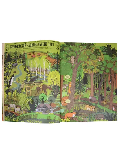 По дороге в Йеллоустоун. Необычайное путешествие по паркам мира - фото 5