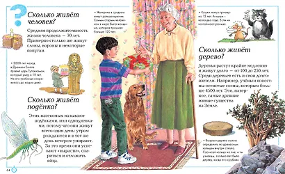 Отчего и почему? - фото 5