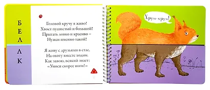 Лесные животные. Подбери картинки-половинки! - фото 6