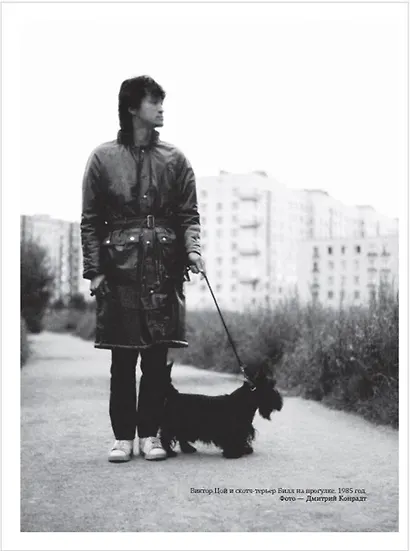 Виктор Цой. Подлинные черновики. Песни, рукописи, рисунки. Памятный альбом - фото 11