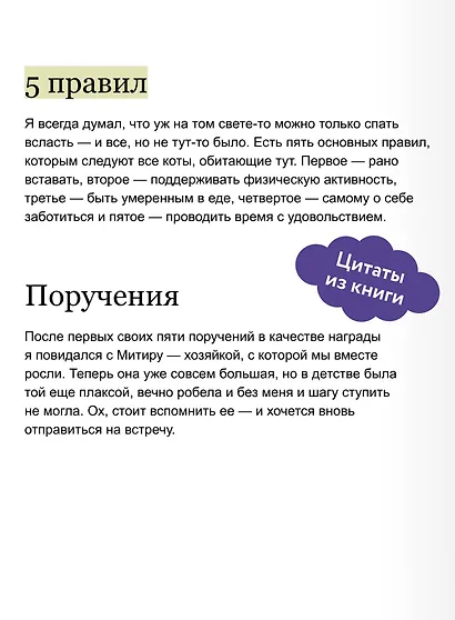 Рыжий кот Фута и затерянный домик в горах - фото 7