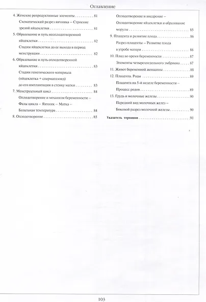 Атлас анатомии человека, изд 2025 - фото 4