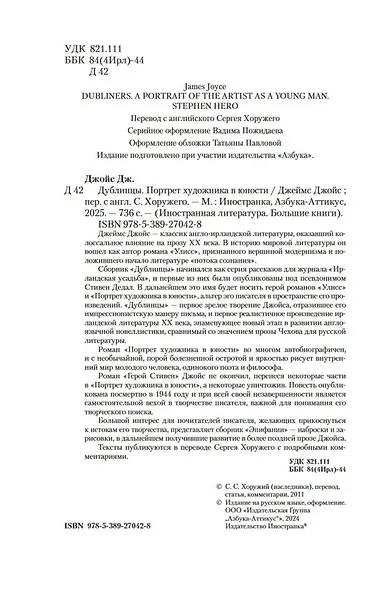 Дублинцы. Портрет художника в юности - фото 9