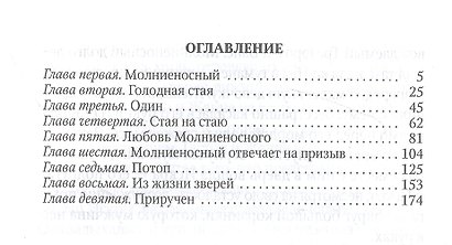 Молниеносный: повесть - фото 2