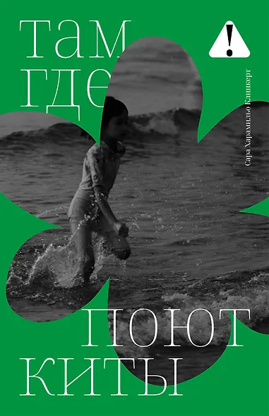 Там, где поют киты: роман - фото 1