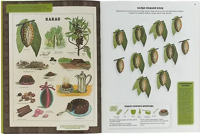 Как устроен мир растений - фото 2