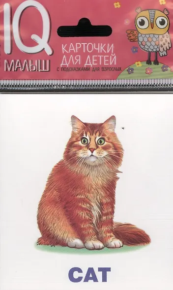 Умный малыш. ENGLISH. Домашние питомцы. Набор карточек для детей. - фото 1