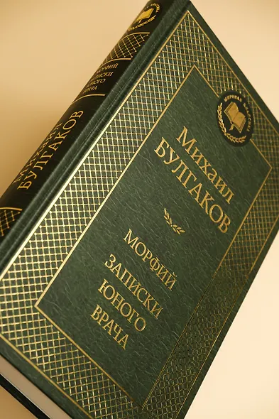 Морфий. Записки юного врача - фото 9