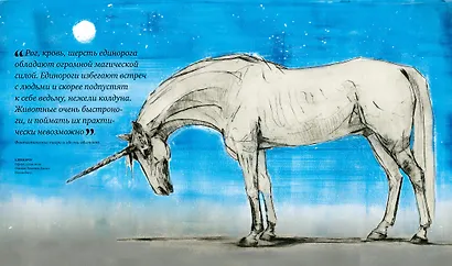 Фантастические твари. Природа чудес волшебного мира - фото 10