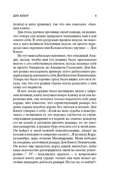 Дон Кихот - фото 12