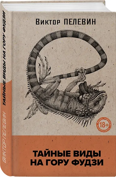 Тайные виды на гору Фудзи - фото 3