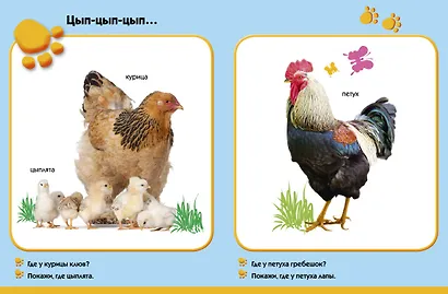 На ферме. Развиваем малыша (0-1 год) - фото 2