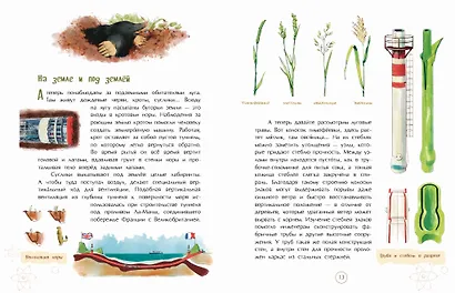 Подсмотрено у природы - фото 2