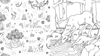 Лесные создания и феи. Раскраска - фото 7