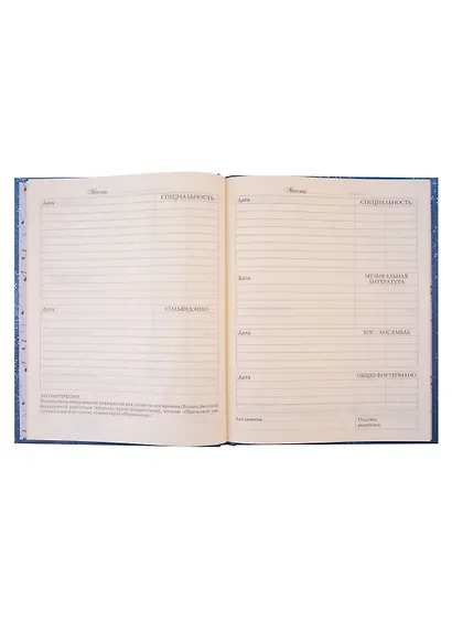 Дневник для муз.школ "Дизайн 2 (23)" 7БЦ, мат.ламинация, тиснение фольгой «Золото» - фото 6