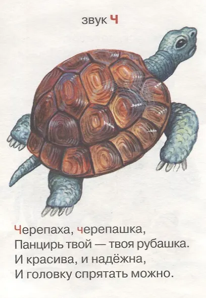 Учимся говорить - фото 5