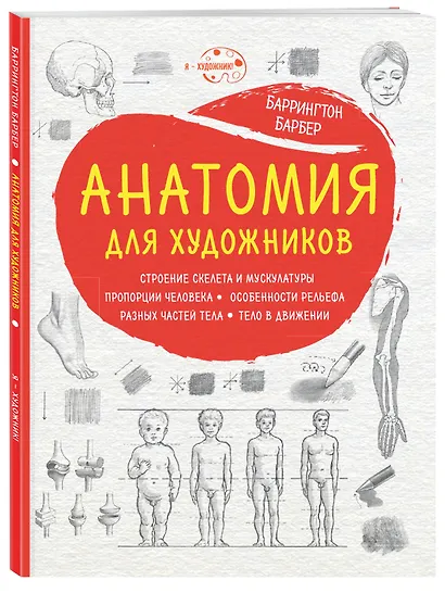 Анатомия для художников (нов. оф.) - фото 3