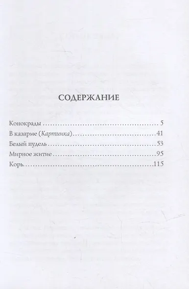 Белый пудель - фото 2