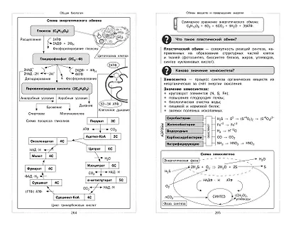 Биология - фото 13