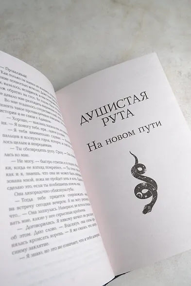 Сердце ведьмы - фото 7