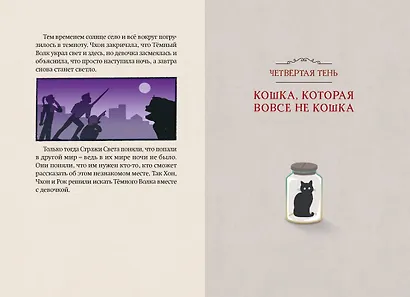 Магазин теней «Лунный свет». Книга 2. Кошка в стеклянной бутылке - фото 12