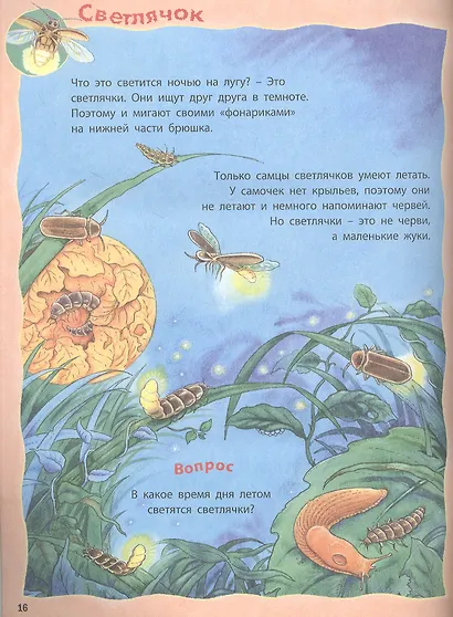 Как живут насекомые? Книжка-активити. Задания и головоломки + более 60 наклеек с животными - фото 3