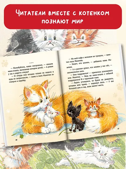 Курочкин котенок - фото 6