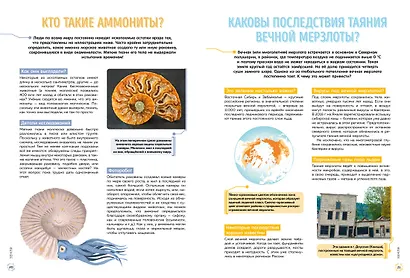 Школьная энциклопедия. 50 неразгаданных загадок науки - фото 5