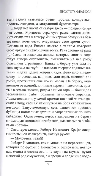 Простить Феликса: повести и рассказы - фото 5