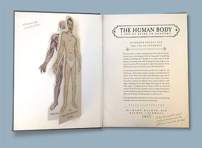 The Human Body - фото 3