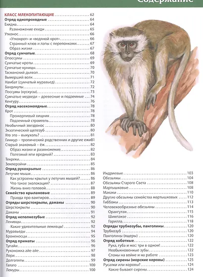 Большая детская энциклопедия животных - фото 3