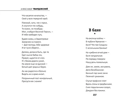Василий Теркин - фото 9