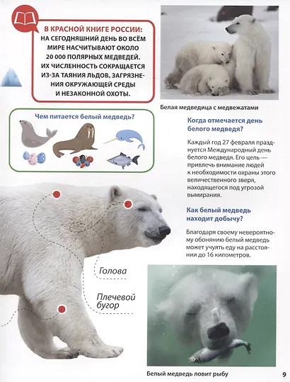 ПЕРВАЯ ДЕТСКАЯ ЭНЦИКЛОПЕДИЯ. ВСЁ О КРАСНОЙ КНИГЕ МАЛЫШАМ - фото 3