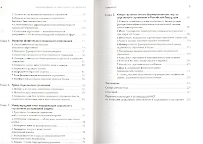 Экономика, финансы и право социального страхования: Институты и страховые механизмы - фото 3