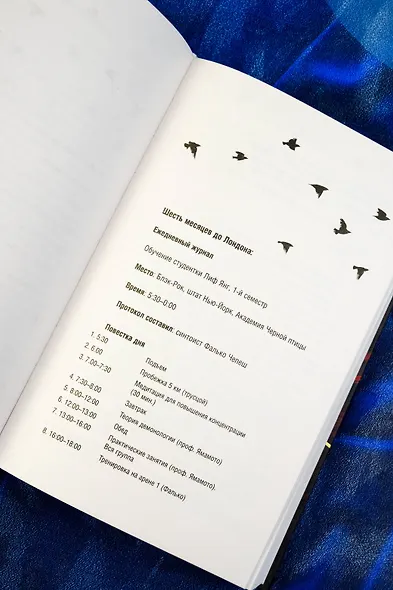 Академия Черной птицы. Бойся света - фото 10