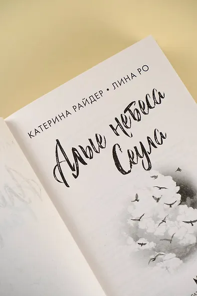 Алые небеса Сеула - фото 7