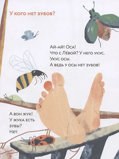 Зубы? Зубы... Зубы! - фото 5