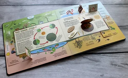 Что это такое? Время и пространство - фото 8