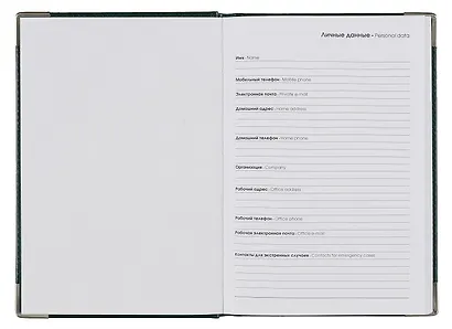 Ежедневник недат. А5 128л "SILVER" зеленый, иск.кожа 7Б, тв.переплет, мет.уголки, тонир.блок, тисн. фольгой, офсет, ляссе - фото 4