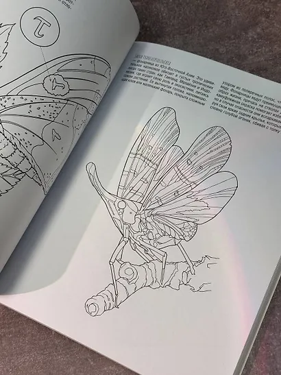 Бабочки и другие насекомые - фото 5