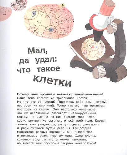 Тело человека. 44 удивительных факта о теле человека - фото 6