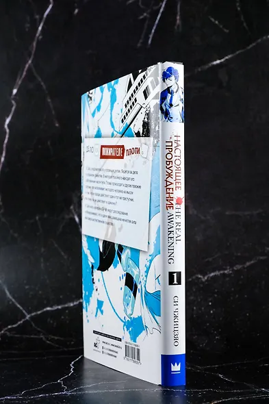 Настоящее пробуждение. Real Awakening. Книга 1 - фото 8