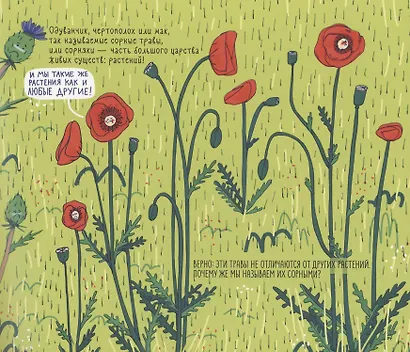 Сорные травы - фото 3