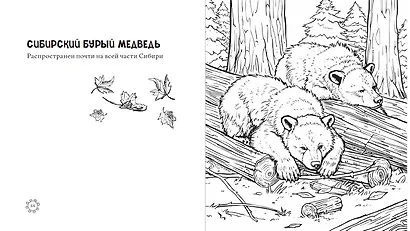 Чарующие краски России. Страницы нежности и красоты - фото 6
