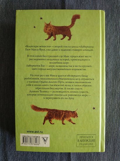 Волонтеры Вечности - фото 4