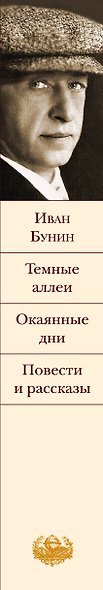 Темные аллеи. Окаянные дни. Повести и рассказы - фото 5