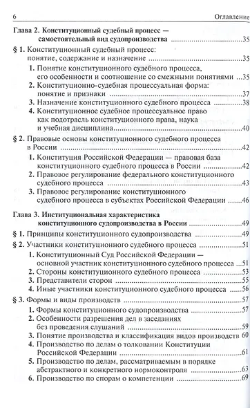 Конституционный судебный процесс - фото 3