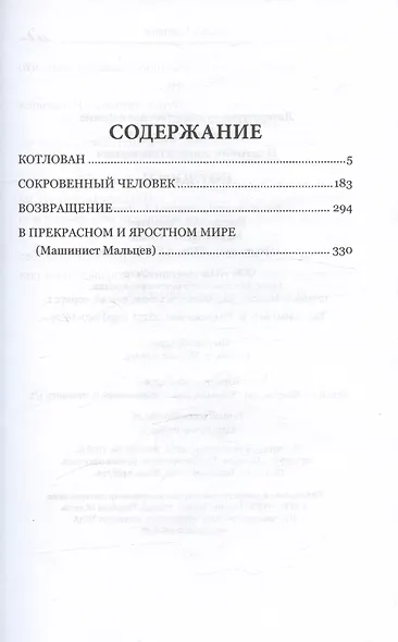 Котлован - фото 6